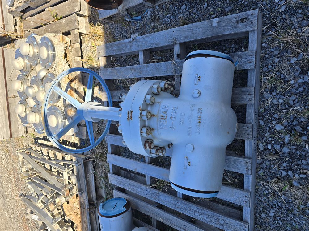 Approx 10000 lbs of CS and SS Valves