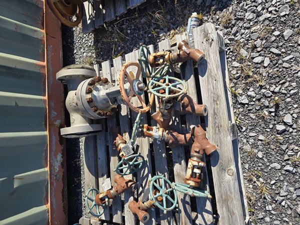 Approx 10000 lbs of CS and SS Valves