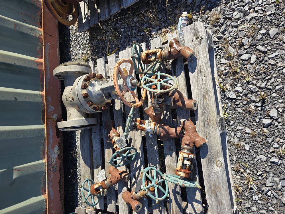 Approx 10000 lbs of CS and SS Valves