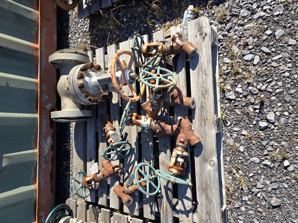 Approx 10000 lbs of CS and SS Valves